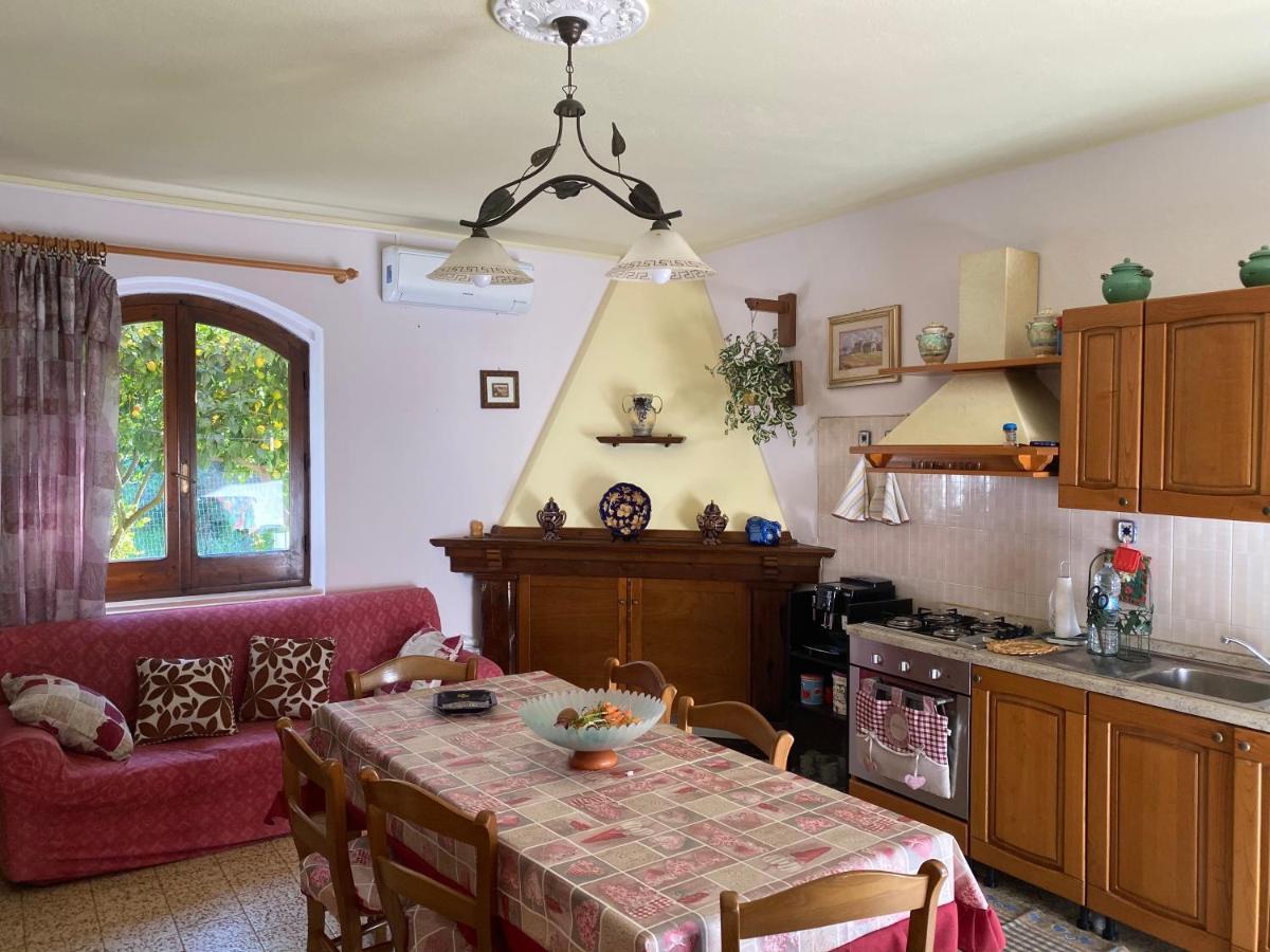 Guest House Brandino Pani Тертения Экстерьер фото